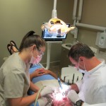 Dental assitant