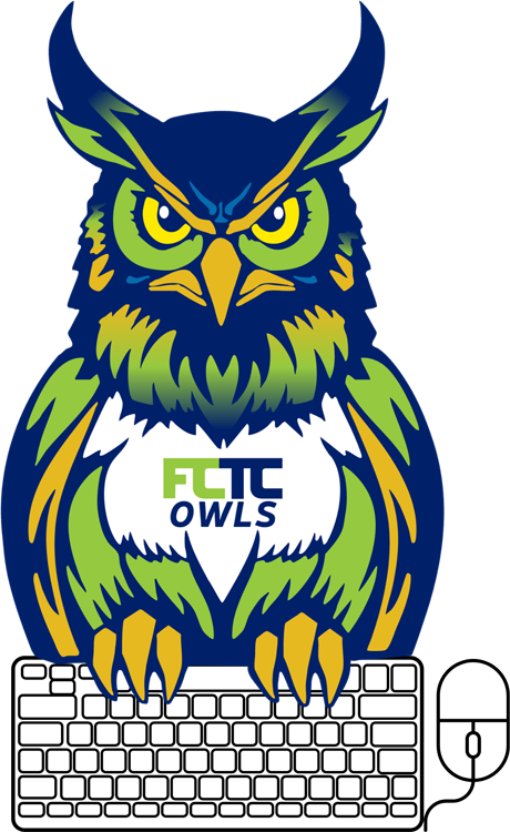 FCTC cybersecurity program owl graphic showing owl with a computer keyboard and mouse